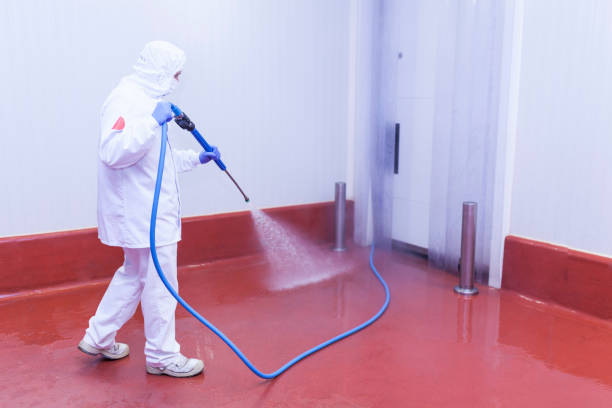 Boat and Dock Cleaning in East Marion, NY